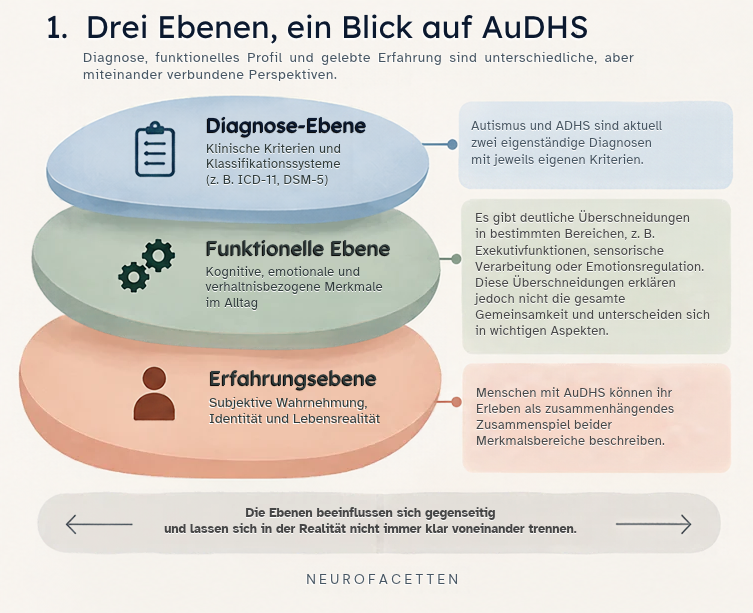 Infografik „Drei Ebenen, ein Blick auf AuDHS“. Sie unterscheidet Diagnose-Ebene, funktionelle Ebene und Erfahrungsebene. Autismus und ADHS werden als zwei eigenständige Diagnosen dargestellt; zugleich werden Überschneidungen bei kognitiven, emotionalen und verhaltensbezogenen Merkmalen sowie das individuelle Erleben als zusammenhängendes Zusammenspiel beider Merkmalsbereiche gezeigt. Kernaussage: Die Ebenen beeinflussen sich gegenseitig und lassen sich in der Realität nicht immer klar voneinander trennen.