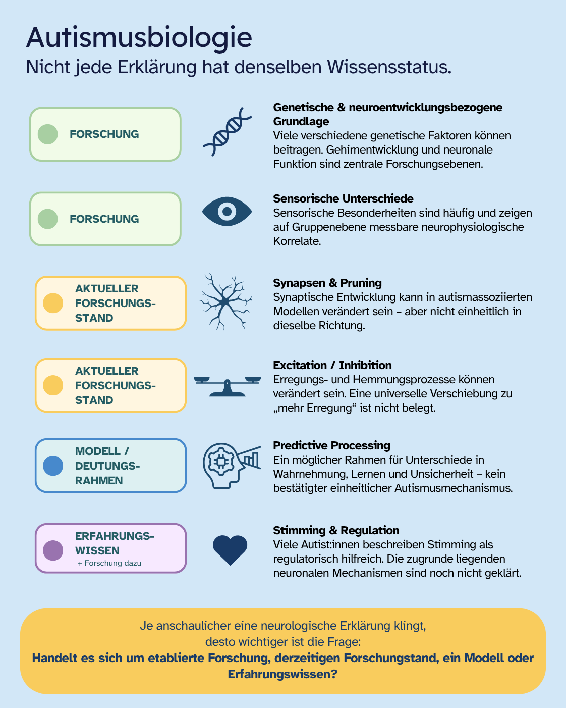 Infografik „Autismusbiologie – Nicht jede Erklärung hat denselben Wissensstatus“. Sie ordnet sechs Themen ein: genetische und neuroentwicklungsbezogene Grundlagen sowie sensorische Unterschiede als Forschung; Synapsen und Pruning sowie Excitation und Inhibition als aktueller Forschungsstand; Predictive Processing als Modell oder Deutungsrahmen; Stimming und Regulation als Erfahrungswissen mit Forschung dazu. Schlussfrage: Handelt es sich um Forschung, Forschungsstand, Modell oder Erfahrungswissen?