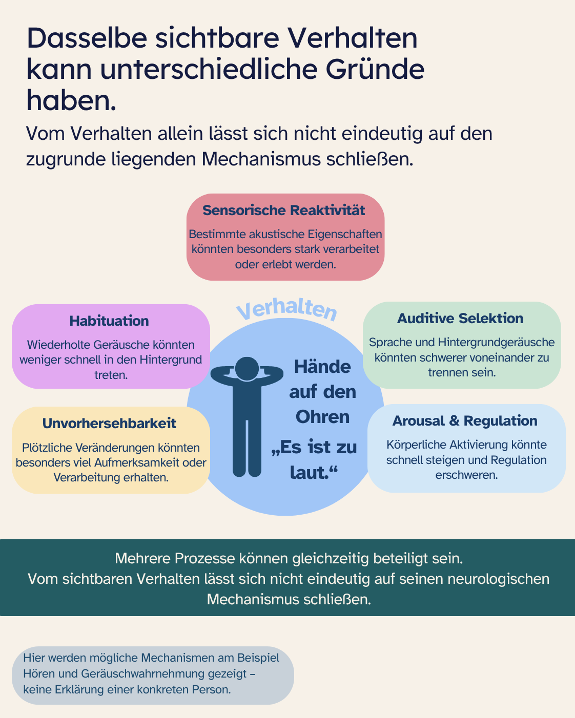 Infografik „Dasselbe sichtbare Verhalten kann unterschiedliche Gründe haben“. In der Mitte steht als Beispiel „Hände auf den Ohren – der Raum ist zu laut“. Darum sind fünf mögliche Prozesse angeordnet: sensorische Reaktivität, Habituation, auditive Selektion, Unvorhersehbarkeit sowie Arousal und Regulation. Mehrere Prozesse können gleichzeitig beteiligt sein; vom sichtbaren Verhalten lässt sich nicht eindeutig auf den neurologischen Mechanismus schließen.